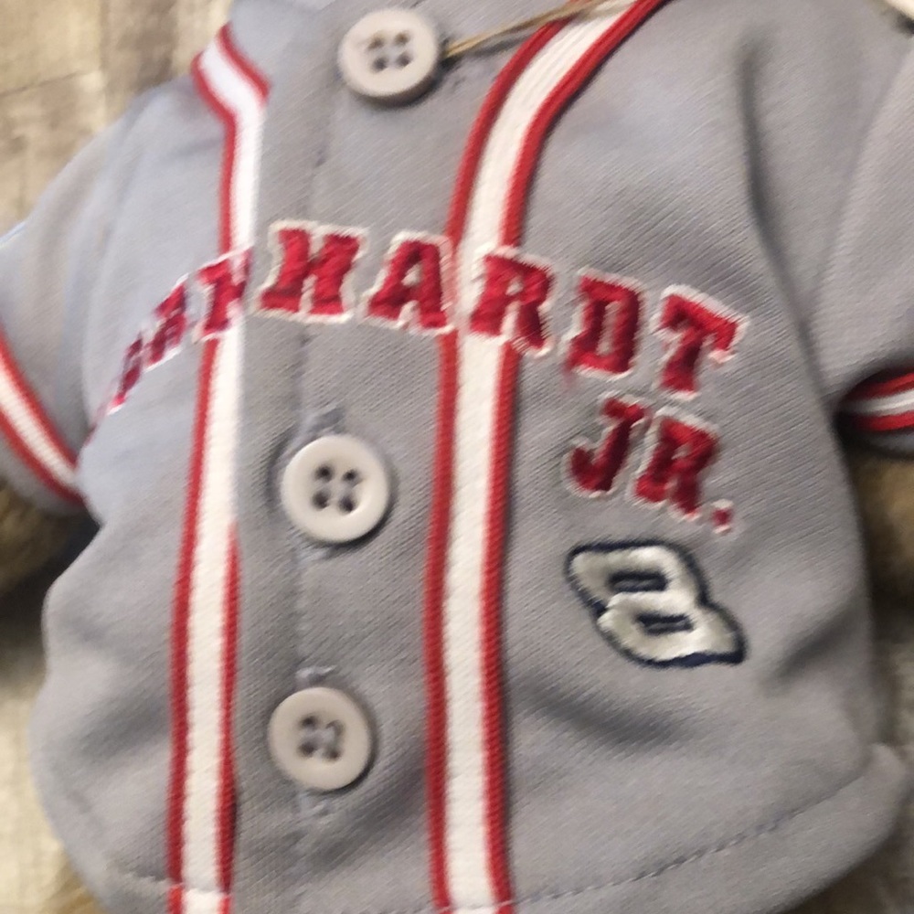 Boyd’s Earnhardt Jr. #8 NASCAR Teddy Bear NWT - Picture 3 of 10